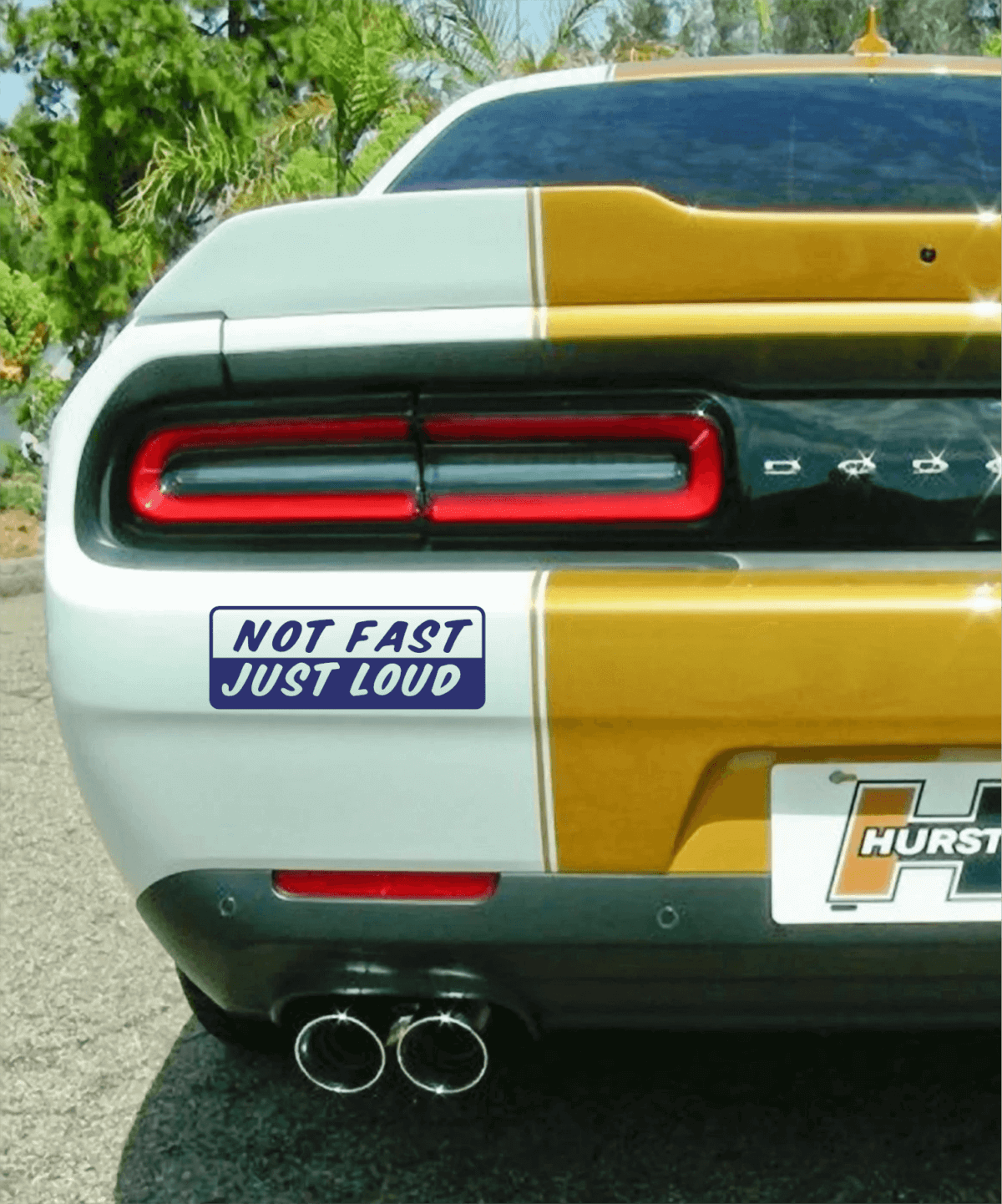 Not Fast Just Loud Decal - Image 7
