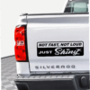 Not Fast Not Loud Just Shiny Decal